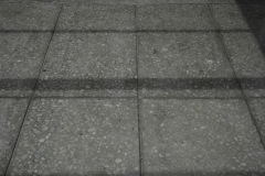 DSC0238