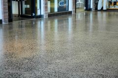 Sandown-Crossing-Artevia-3