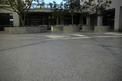 DSC0376