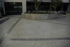 DSC0395