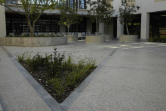 DSC0401