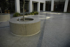 DSC0445