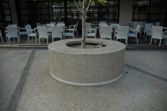 DSC0512
