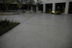 DSC0514