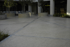 DSC0515